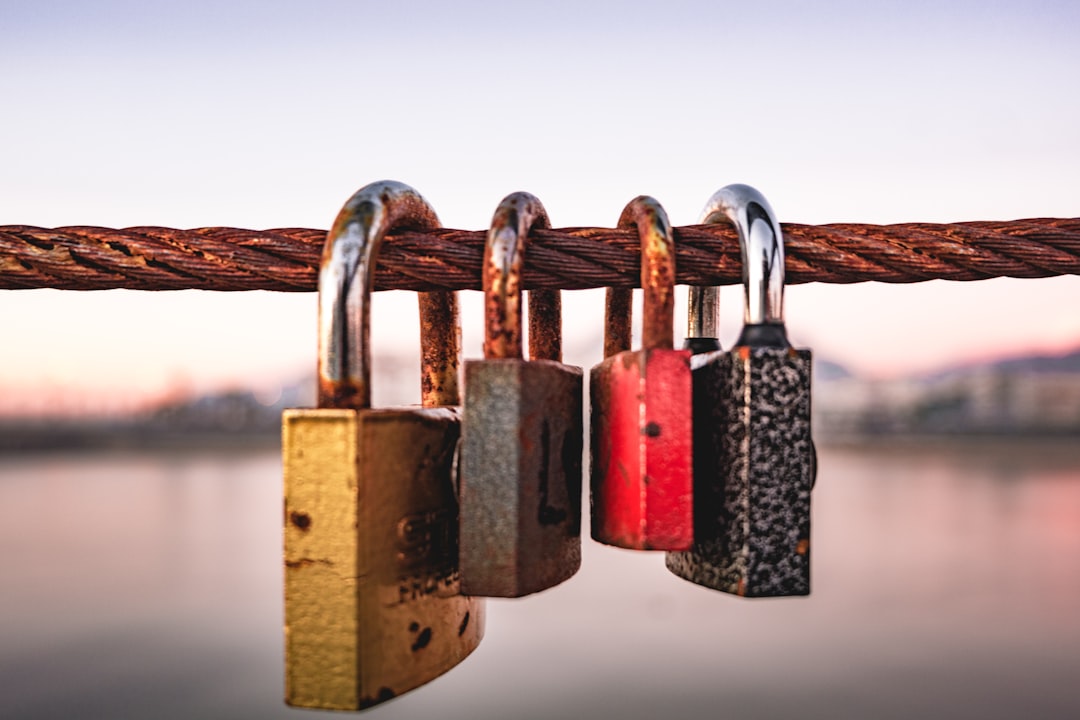 Advanced Kubernetes Security Techniques: Insights and Troubleshooting Strategies from Ian Lewis at Google - Photo by Aysegul Alp on Unsplash