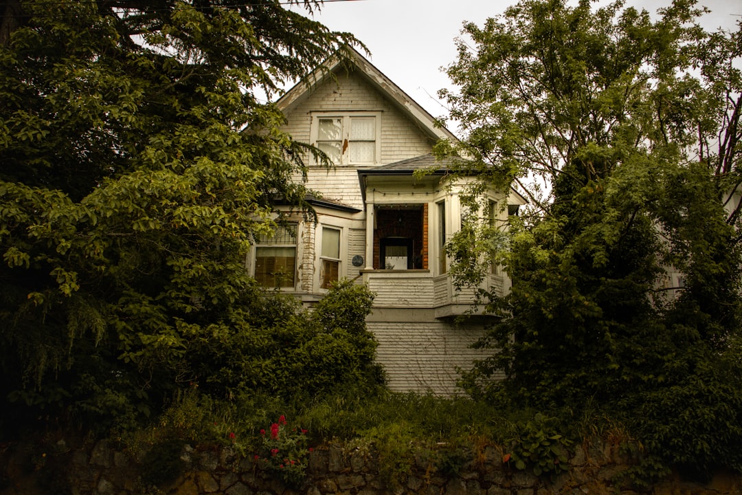 Decoding ‘house-stock-watcher-data’ on GitHub